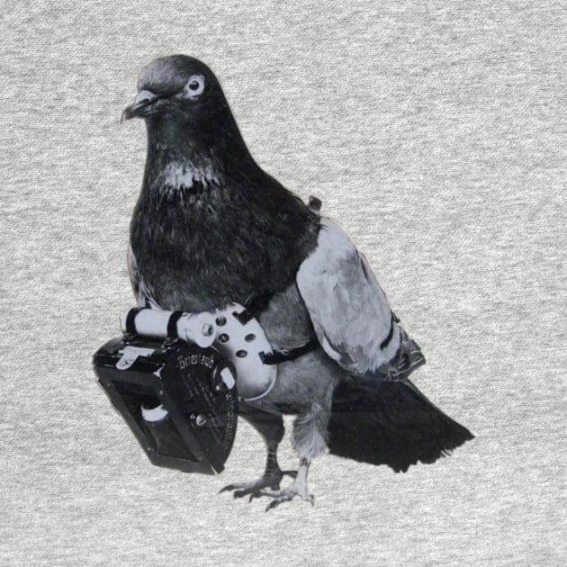 Flying Pigeon with Miniature Pigeon Camera Drone Photography by TV Dinners